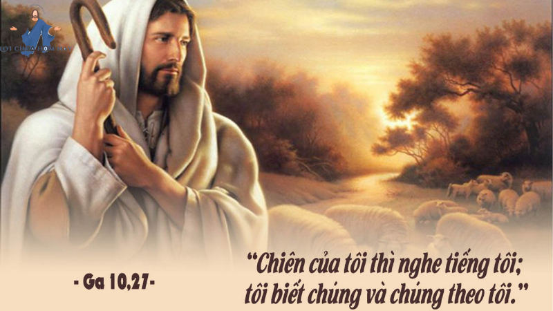 lời chúa hôm nay cha long